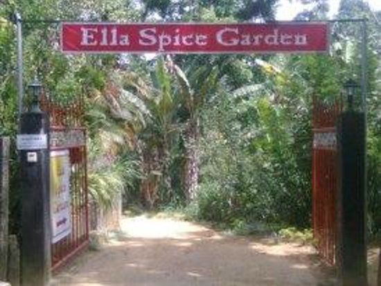 Ella Spice Garden